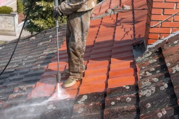 demousser votre toit